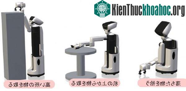 Robot hỗ trợ người khuyết tật