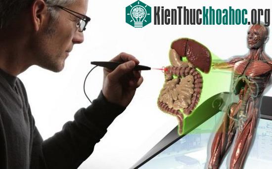 Sử dụng bút cảm ứng Lazer để "gắp" hình ảnh