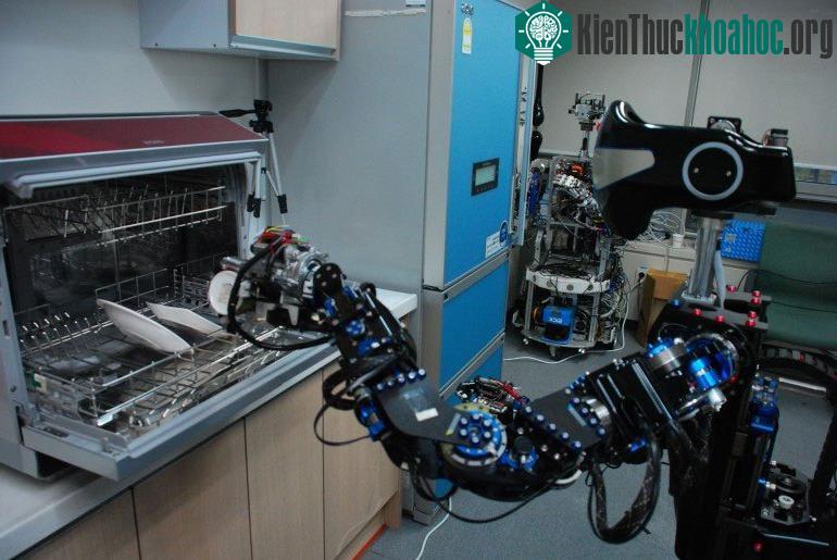 Chú Robot khéo léo cất bát đĩa sau khi đã rửa sạch.
