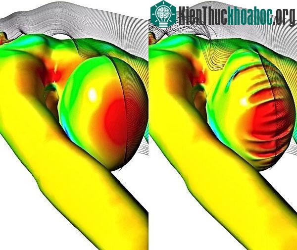 Phần mềm ANSYS tính toán động lực học chất lỏng giúp Speedo tối ưu hóa hình dạng mới của hệ thống Fastskin Racing với 3 sản phẩm, đồng thời giảm thiểu áp lực cùng với sự bất ổn trên cơ thể