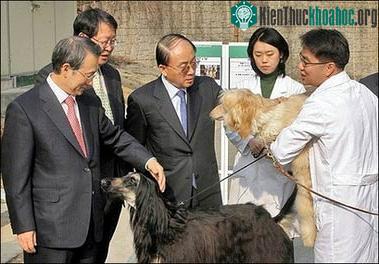 Giáo sư Lee Byung Chun (trái) đứng đầu nhóm nhân bản thành công chó lông xù.
