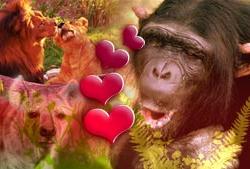 (Ảnh: Livescience)