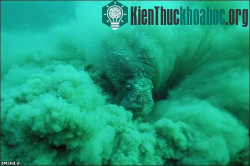 Con quỷ trong bão cát - ảnh thiên nhiên đẹp nhất 2006 ảnh 0
