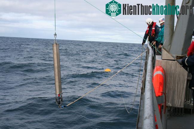 Phát hiện cá voi đầu bò gần Greenland ảnh 0