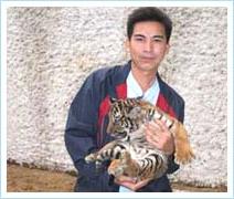 Lần thứ hai hổ Đông Dương đẻ thành công trong điều kiện nuôi ảnh 1