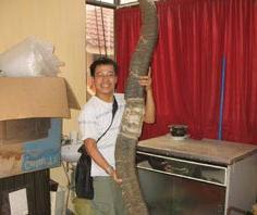 Cặp sừng khổng lồ.