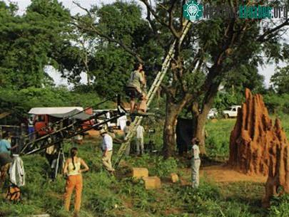 Quay phim thế giới động vật ảnh 1