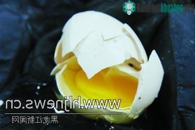 Chim cánh cụt nhịn ăn vì bị vỡ trứng ảnh 2