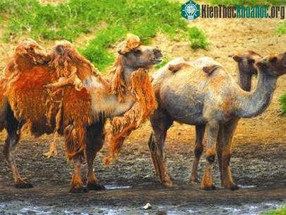 Lột xác! ảnh 4