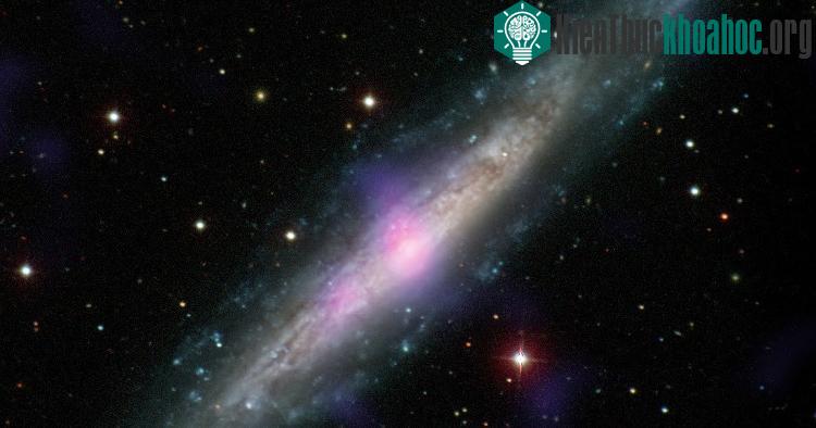 Hình ảnh của thiên hà NGC 1448.