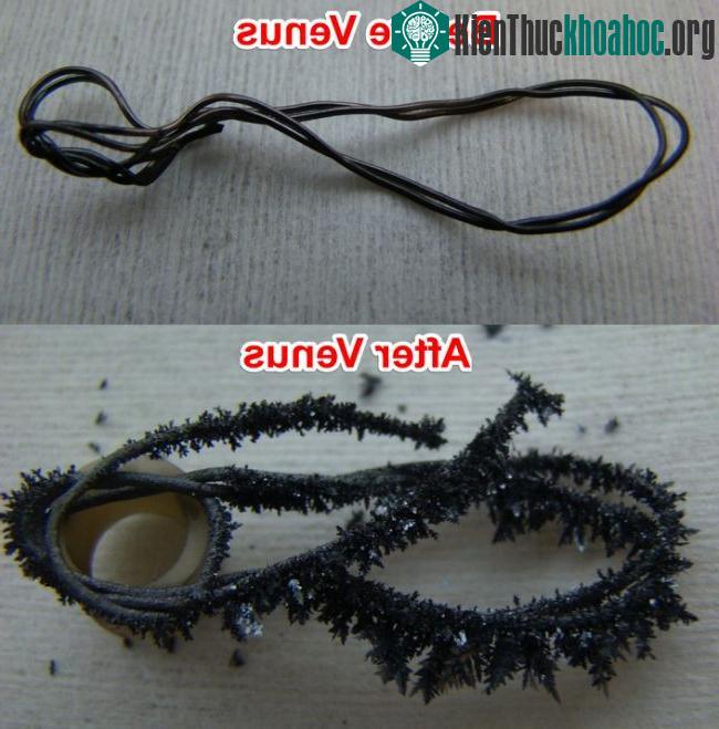 Thí nghiệm cho dây kim loại tiếp xúc với điều kiện môi trường giống sao Kim. (Ảnh: GEER).