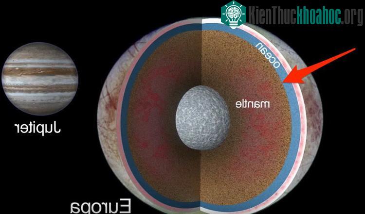 Khi Europa tiến đến gần Sao Mộc thì nó căng ra thành hình thuôn. Khi nó cách xa sao Mộc thì nó co lại thành hình cầu.