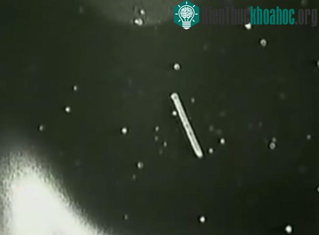 Đám mây tinh thể băng trôi nổi quanh tàu con thoi. (Ảnh: NASA).