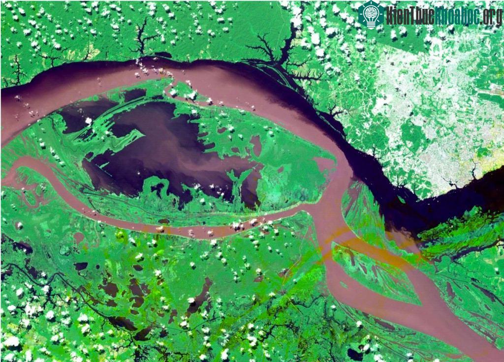 Bức ảnh chụp thành phố Manaus, Brazil, là thước hình được yêu thích nhất trong bộ ảnh của ASTER.