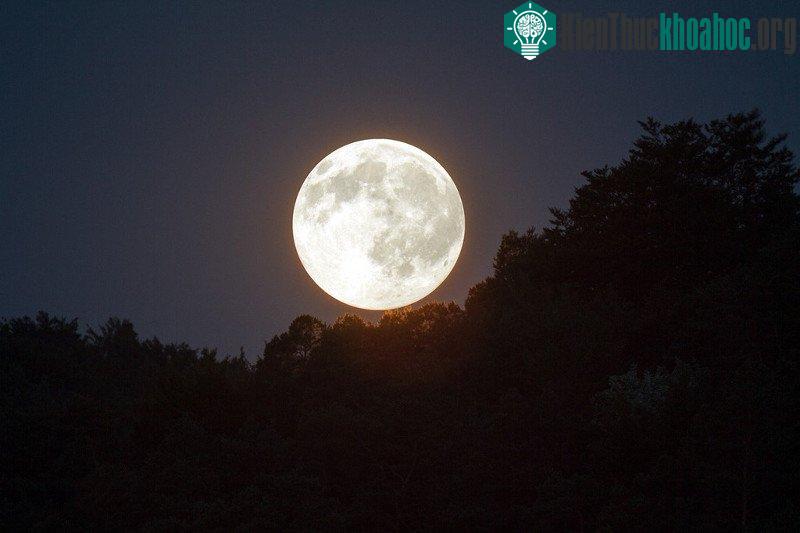 Siêu trăng (ngày 3 - 4/12)