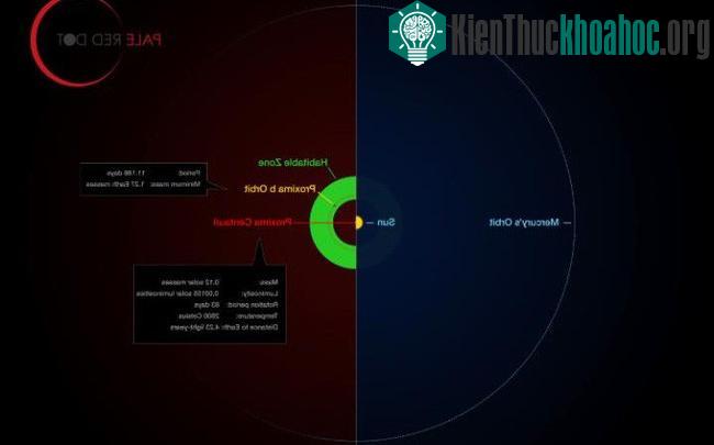 Hình đồ họa so sánh với quỹ đạo của các hành tinh xung quanh Proxima Centauri (Proxima b) với các vùng khác trong hệ Mặt trời.