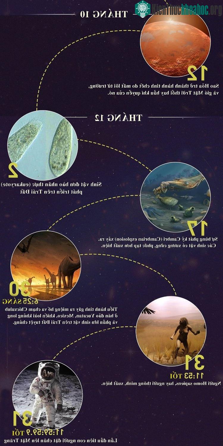 Vào thời điểm 11:53 tối, người Homo Sapiens, hay còn gọi là người thông minh đầu tiên xuất hiện.