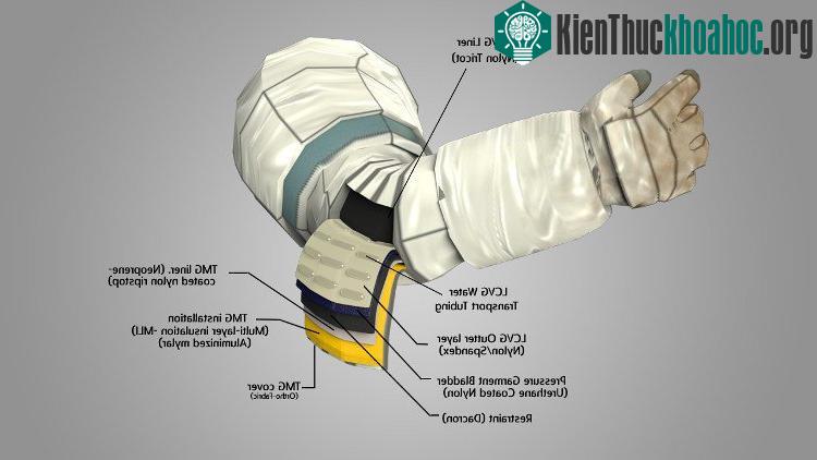 Bộ phận cánh tay bao gồm 14 lớp.