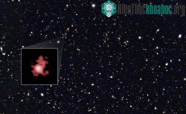 Thiên hà GN-z11 ở cách Trái Đất 13,4 tỷ năm ánh sáng. (Ảnh: NASA).