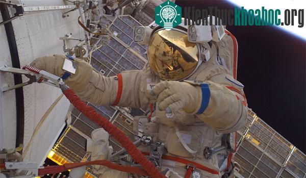 Ảnh: NASA