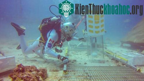Jeremy Hansen sử dụng một mũi khoan trên bề mặt đáy đại dương khi thực hiện những bước đi bộ mô phỏng như nhiệm vụ tương tự trên sao Hỏa. (Ảnh: NASA/Canadian Space Agency)