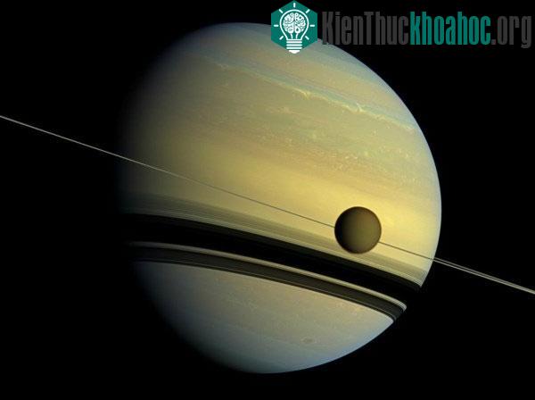 Ảnh: natureworldnews.com