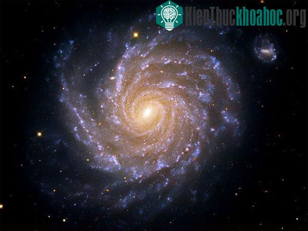 Ảnh:&nbsp;godandscience.org