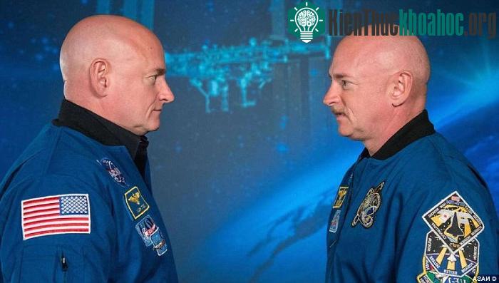 Kelly (phải) cao hơn và trẻ hơn người em trai sinh đôi trên Trái Đất. (Ảnh: NASA).