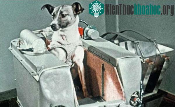Những khám phá cực hay về vũ trụ ít ai biết (2)- ảnh 12