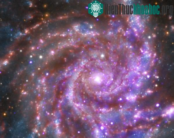 Đây là hình thiên hà Pinwheel chụp được bởi Nasa.