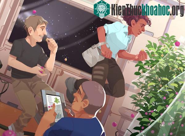 NASA giải quyết vấn đề thực phẩm trên không gian như thế nào?