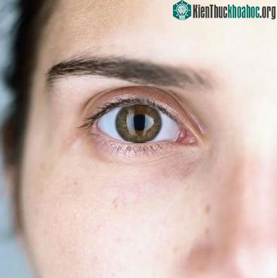 Những biến đổi thú vị trong môi trường không trọng lực