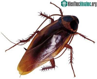 Những khám phá cực hay về vũ trụ ít ai biết (2)- ảnh 6