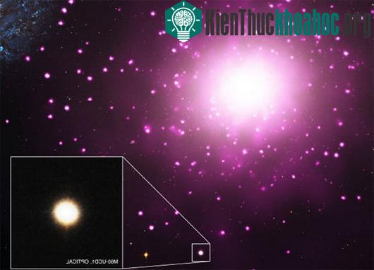 Thiên hà M60-UCD1 (chấm sáng nhỏ trong hình vuông) nằm cạnh thiên hà khổng lồ NGC 4649 - (Ảnh: Phys.org)