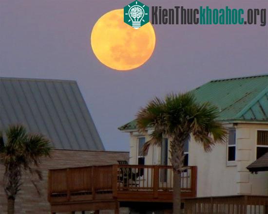 "Siêu trăng" xuất hiện ở Florida, Mỹ. (Ảnh: Earthsky)