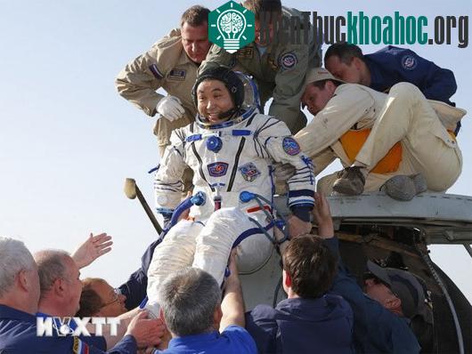Nhân viên cơ quan vũ trụ Nga hỗ trợ nhà du hành Nhật Bản Koichi Wakatasau rời khỏi tàu Soyuz TMA-11 khi con tàu này hạ cánh xuống thảo nguyên gần Dzhezkazgan. (Ảnh: AFP/TTXVN)