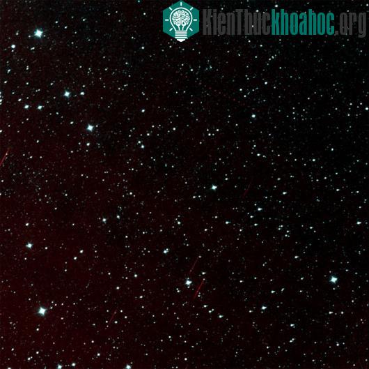 Hình ảnh được NEOWISE gởi về cho thấy đường đi của thiên thạch Holda (đường chấm đỏ)