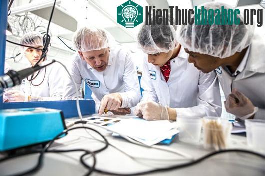 Nhóm sinh viên thành lập Space Concordia để nghiên cứu vệ tinh - (Ảnh: Đại học Concordia)