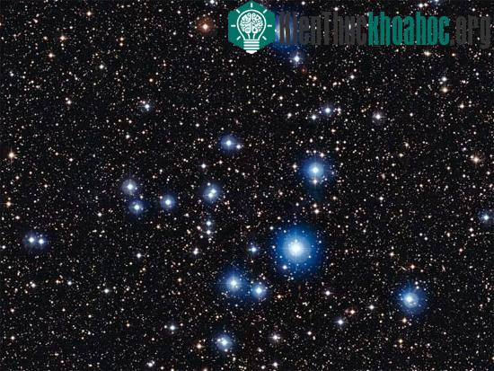 Cụm sao NGC 2547 rực sáng trên bầu trời đêm