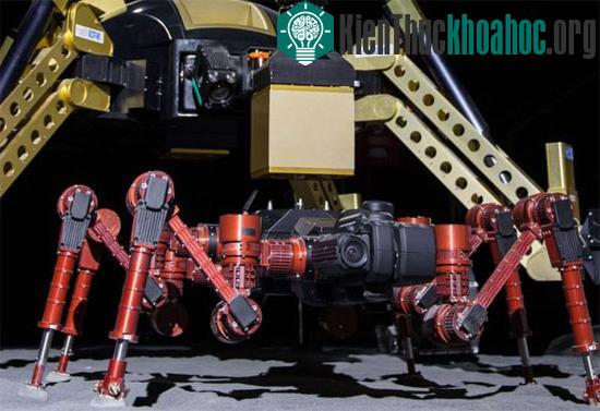 Robot Rimres
