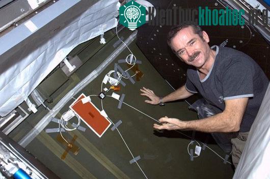 Phi hành gia người Canada - Chris Hadfield đang lắp đặt hệ thống UBNT trên vách áp suất của module Destiny