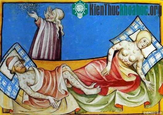 Các nhà khoa học tin rằng, chính sao chổi Halley là nhân tố gây ra "bệnh dịch Justinian" vào năm 541 - 542