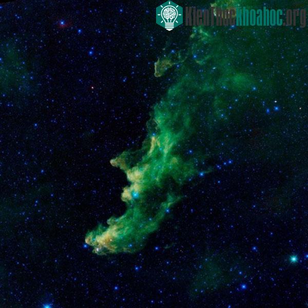 Tinh vân Witch Head do tàu thăm dò WISE của NASA chụp