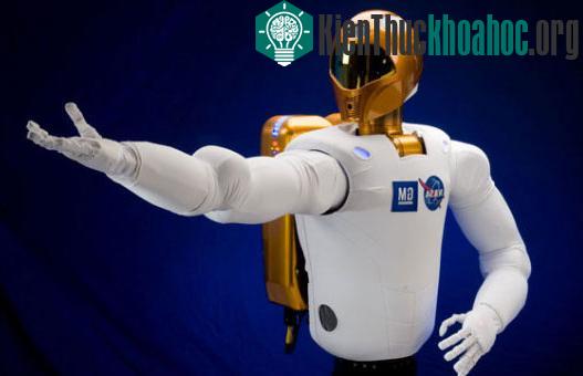 Robonaut