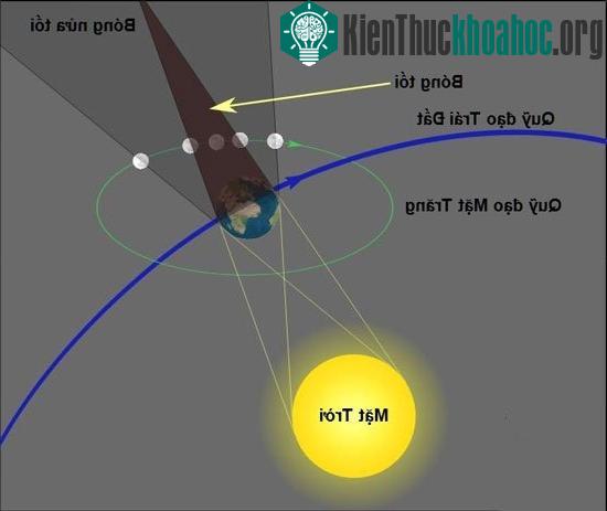 Nguyệt thực xảy ra khi Mặt Trăng đi qua phần bóng Trái Đất che khuất ánh sáng Mặt Trời (gồm bóng tối và bóng nửa tối).