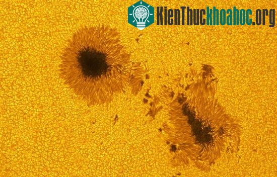 Phát hiện một vết đen dài 800.000km trên Mặt trời