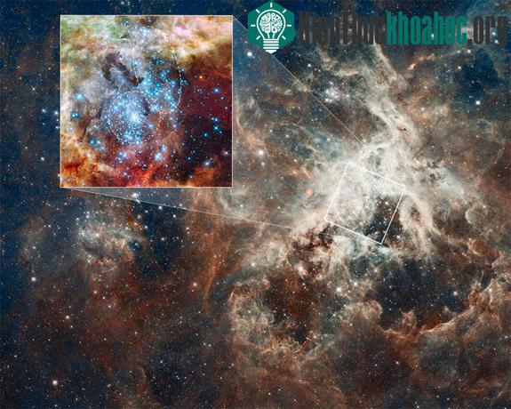 Hai cụm sao đang hòa thành một trong tinh vân Tarantula. (Ảnh: Space)