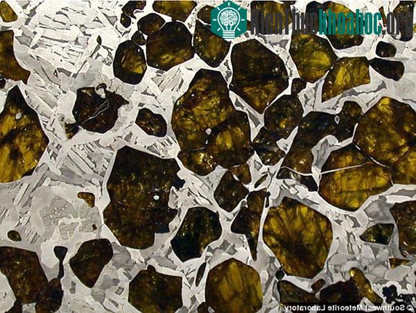 Pallasite có cấu tạo một nửa là sắt nikel, một nửa là olivin.
