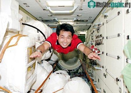 Phi hành gia Nhật bay trên thảm ảnh 0