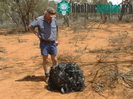 Một quả bóng sợi kim loại rơi xuống bang Queensland (Australia) năm 2008. (Ảnh: Daily Mail)